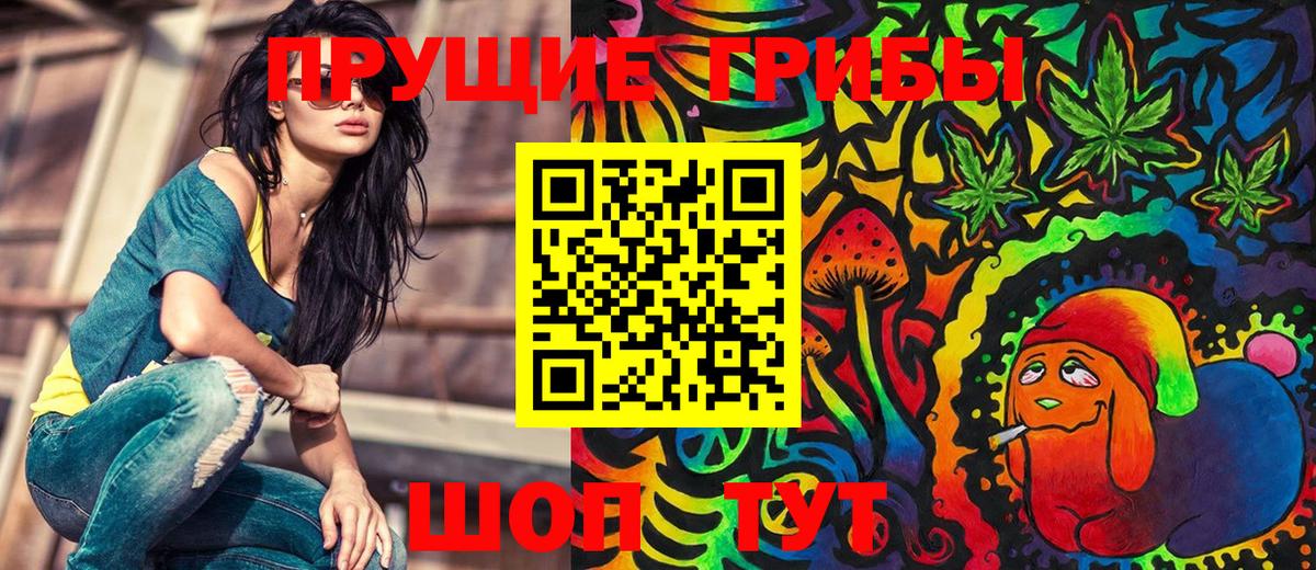 Псилоцибиновые грибы Psilocybine cubensis Курчатов