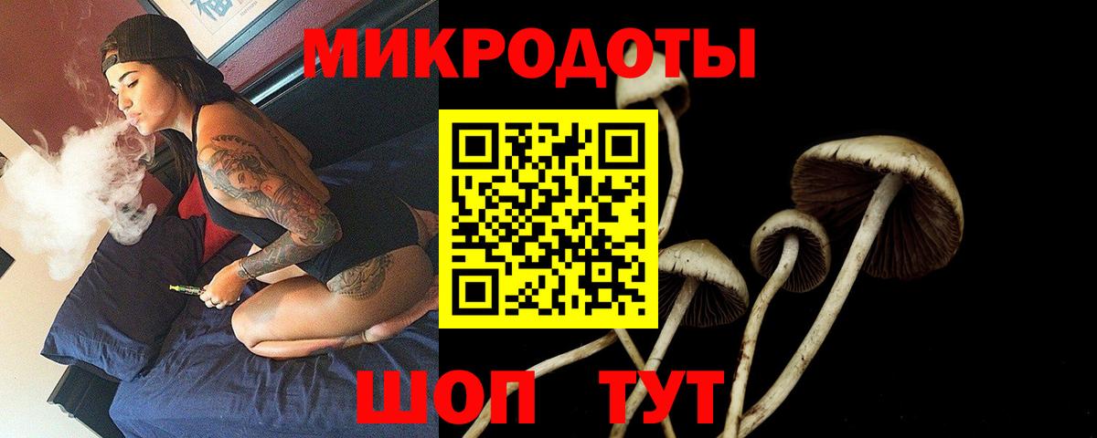 Псилоцибиновые грибы мухоморы  Вход с VPN  Курчатов 